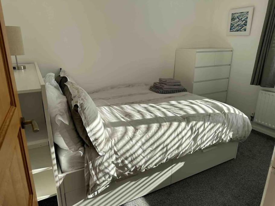 Revamped Holywood Town Centre House Apartment Bagian luar foto