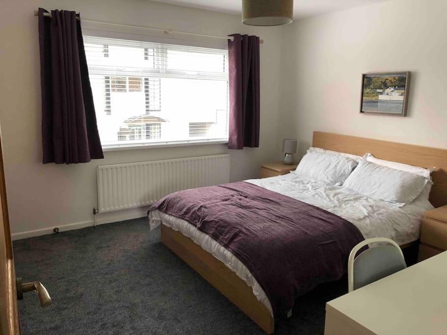 Revamped Holywood Town Centre House Apartment Bagian luar foto
