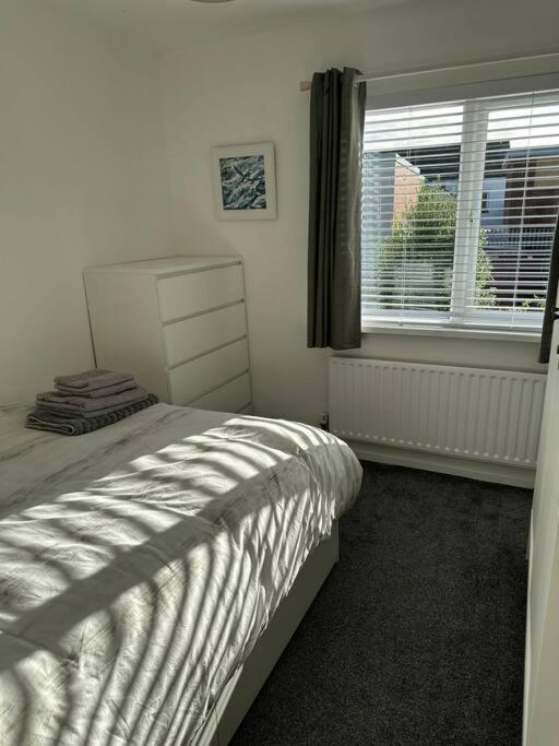 Revamped Holywood Town Centre House Apartment Bagian luar foto